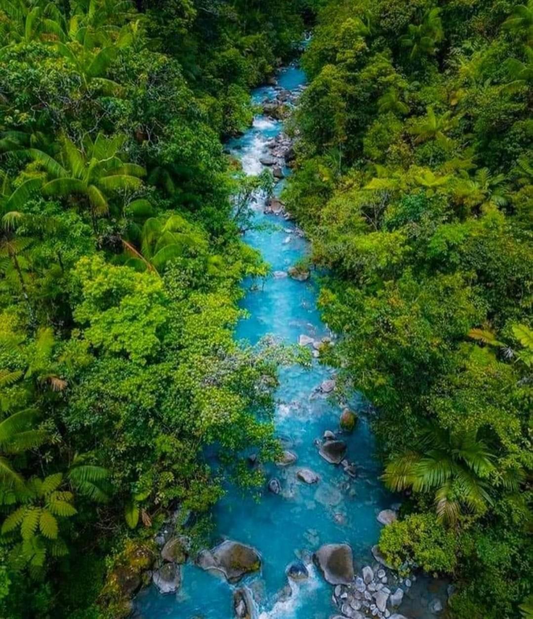 Cabinas El Pilon Rio Celeste Экстерьер фото