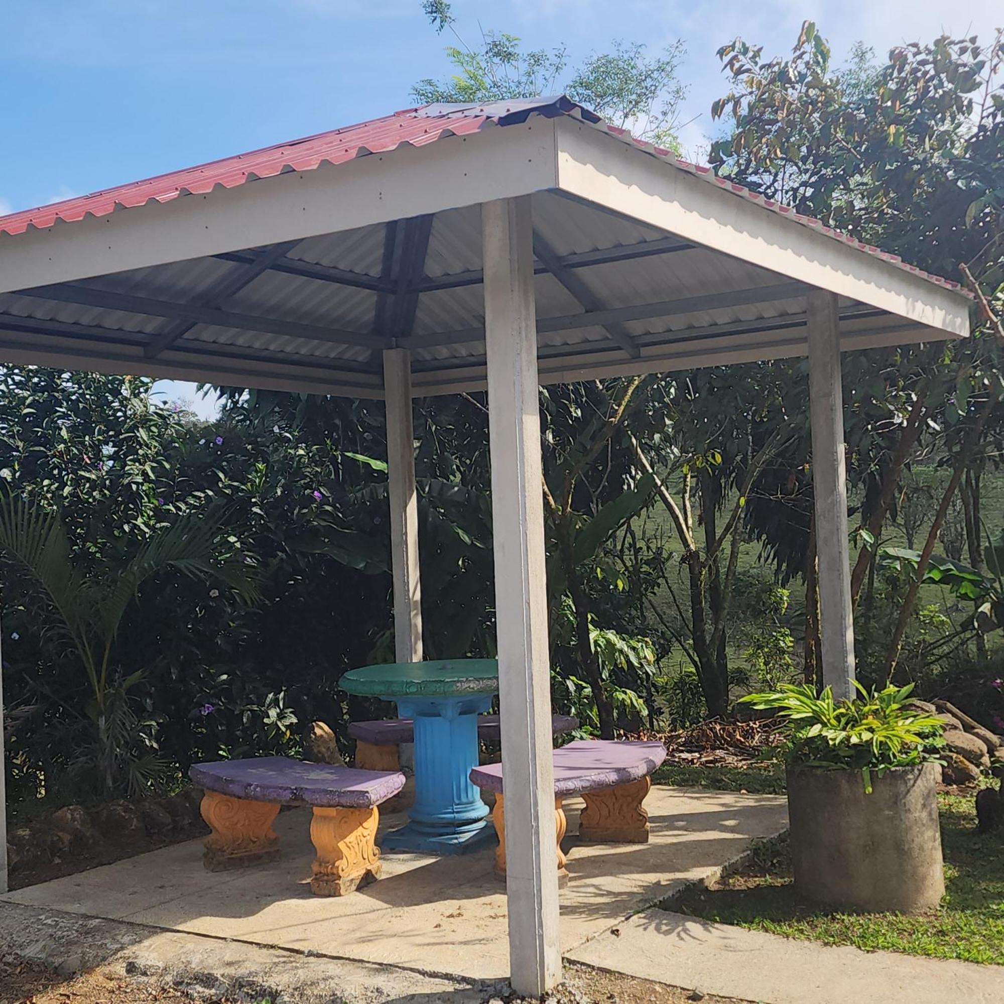 Cabinas El Pilon Rio Celeste Экстерьер фото